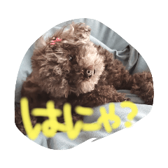 [LINEスタンプ] 可愛いくくちゃんPart2