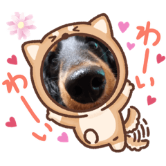 [LINEスタンプ] くまちゃんの日常(´ε｀ )♡