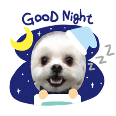 [LINEスタンプ] らんまるちゃん。②