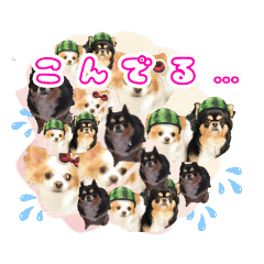 [LINEスタンプ] ほのぼのクーピーのアロハ日常偏