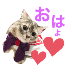 [LINEスタンプ] サイベリアンのキキちゃん