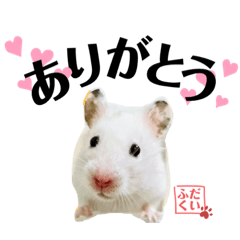 [LINEスタンプ] おもち系ハムスター だいふく