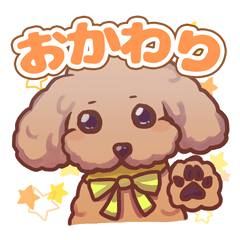 [LINEスタンプ] 【愛犬ちゃん】トイプードル