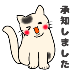 [LINEスタンプ] 【敬語】もちもちほっぺのねこ4