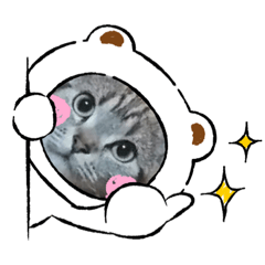 [LINEスタンプ] ネコのめいちゃん日常編