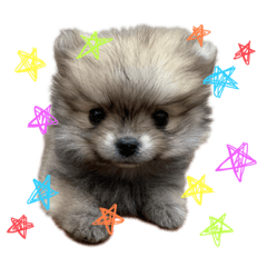 [LINEスタンプ] ぼく。うにたろう。Part2