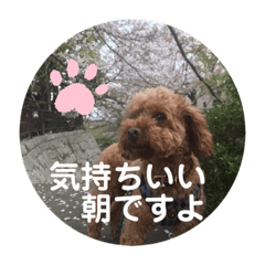 [LINEスタンプ] トムの日常その2