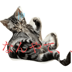 [LINEスタンプ] らいむすたんぷ2
