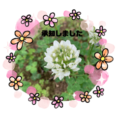 [LINEスタンプ] よつば会