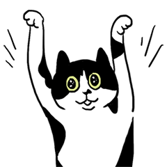 [LINEスタンプ] ハチワレ猫のまる