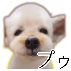[LINEスタンプ] プー ＊asachi