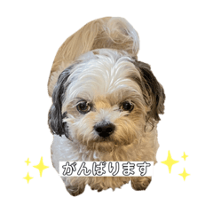 [LINEスタンプ] めるの毎日2