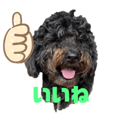 [LINEスタンプ] ジヨン 日常編