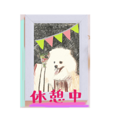 [LINEスタンプ] 抱っこが大好きな犬テンちゃん