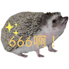 [LINEスタンプ] はりねずみで行こう。（中国語）