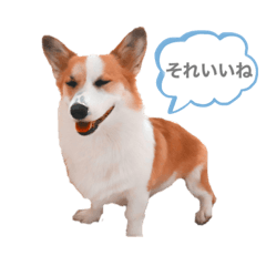 [LINEスタンプ] なぎちゃん頑張ってる