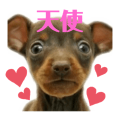 [LINEスタンプ] るるるん♪2