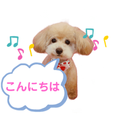 [LINEスタンプ] ミルティーごあいさつ