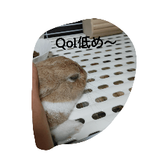 [LINEスタンプ] 蒼穹万里ますらおwithかんな