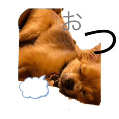 [LINEスタンプ] まるぽう