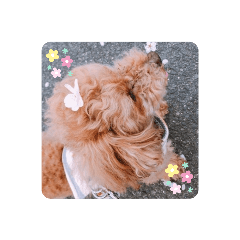 [LINEスタンプ] 可愛いみるきーちゃんのスタンプ