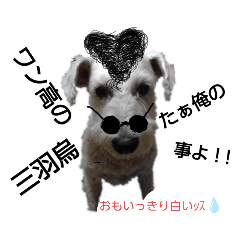 [LINEスタンプ] ヤンキー シュナ