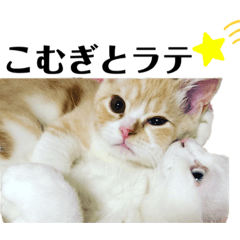 [LINEスタンプ] こむとラテ