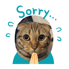 [LINEスタンプ] むぎたんのスタンプฅ(^^ฅ)