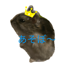 [LINEスタンプ] mIyurInの仲間たち