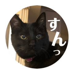 [LINEスタンプ] あじ丸スタンプ