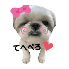 [LINEスタンプ] うちのきりたん第三弾