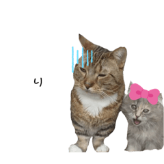 [LINEスタンプ] Verucaベルーカソルトよ