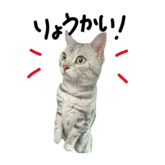 [LINEスタンプ] ロジャー2
