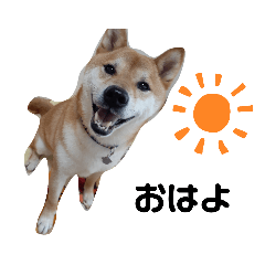[LINEスタンプ] じんがちゃ