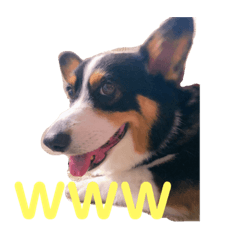 [LINEスタンプ] くりすてぃーぬちゃん①