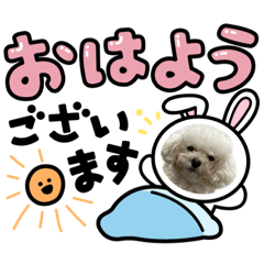 [LINEスタンプ] プードルぷうちゃん