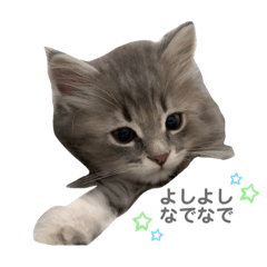[LINEスタンプ] ロイさんの慰めスタンプ