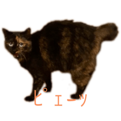 [LINEスタンプ] おこげと七味3
