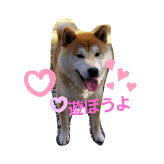 [LINEスタンプ] サム＆みゆ