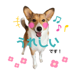 [LINEスタンプ] うちのノアは世界一②