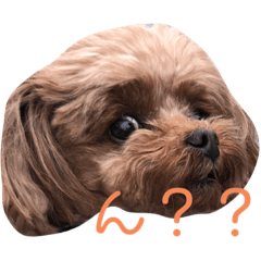 [LINEスタンプ] ここたろちゃん  no.1