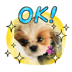 [LINEスタンプ] ニコちゃんとくまとぷー
