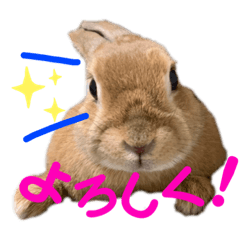 [LINEスタンプ] ペーモちゃんのスタンプ2