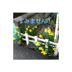 [LINEスタンプ] 日常使いお花スタンプ