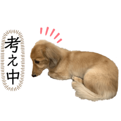 [LINEスタンプ] るぅーしぇ
