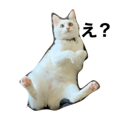 [LINEスタンプ] mula kimura