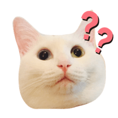 [LINEスタンプ] ひやむぎのスタンプ