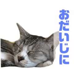 [LINEスタンプ] ぺぺさんより…お大事に…