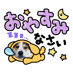 [LINEスタンプ] 2896Love