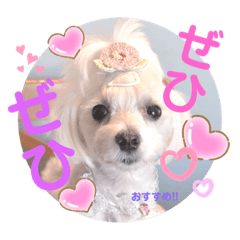 [LINEスタンプ] いつも元気なすあまちゃん2